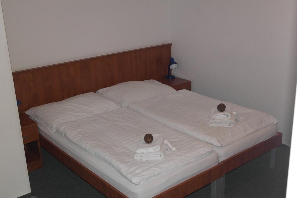 Wellness hotel Harrachovka Zimmer foto